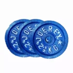 Blue Dumbbell Plate