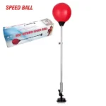 Fist Hitting Speedball Punching Ball Training