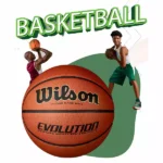 Wilson Basketball Size 7