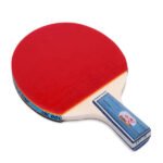 Table Tennis Bat - Double Fish-1DC